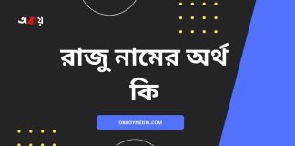 রাজু নামের অর্থ কি