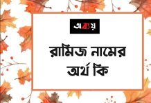 রামিজ নামের অর্থ কি