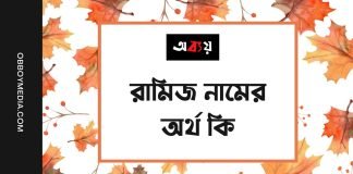 রামিজ নামের অর্থ কি