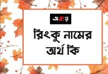 রিংকু নামের অর্থ কি | কেনো রাখবেন, কেনো রাখবেননা রিংকু নামের অর্থ কি