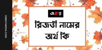 রিজভী নামের অর্থ কি