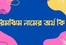 রিমঝিম নামের অর্থ কি | নামটি সম্পর্কে অজানা তথ্যগুলো জানুন রিমঝিম নামের অর্থ কি