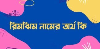 রিমঝিম নামের অর্থ কি