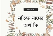 লতিফ নামের অর্থ কি