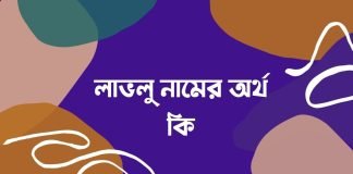 লাভলু নামের অর্থ কি