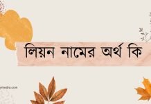 লিয়ন নামের অর্থ কি
