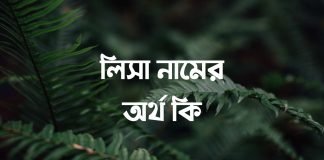 লিসা নামের অর্থ কি