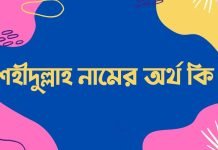 শহীদুল্লাহ নামের অর্থ কি