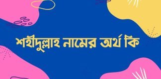 শহীদুল্লাহ নামের অর্থ কি