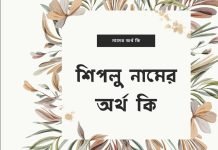 শিপলু নামের অর্থ কি