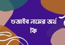 শুআইব নামের অর্থ কি