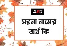 সরনা নামের অর্থ কি | নামটির অজানা দিকগুলো আপনার জানা উচিৎ