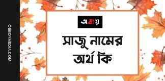 সাজু নামের অর্থ কি