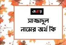 সাজ্জাদুল নামের অর্থ কি