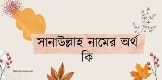 সানাউল্লাহ নামের অর্থ কি