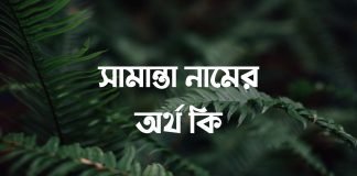 সামান্তা নামের অর্থ কি
