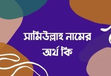 সামিউল্লাহ নামের অর্থ কি