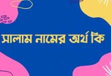 সালাম নামের অর্থ কি