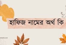 হাফিজ নামের অর্থ কি