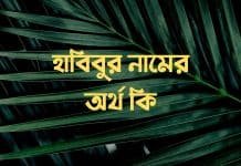 হাবিবুর নামের অর্থ কি