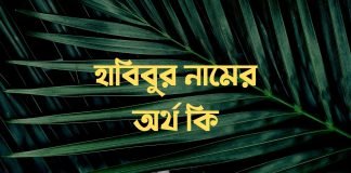 হাবিবুর নামের অর্থ কি