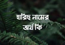 হারিছ নামের অর্থ কি