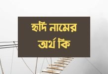 হৃদি নামের অর্থ কি | নামটির সম্পর্কে কিছু কথা জানা জরুরী হৃদি নামের অর্থ কি