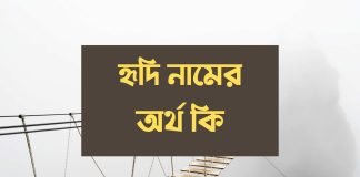 হৃদি নামের অর্থ কি