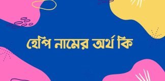 হেপি নামের অর্থ কি