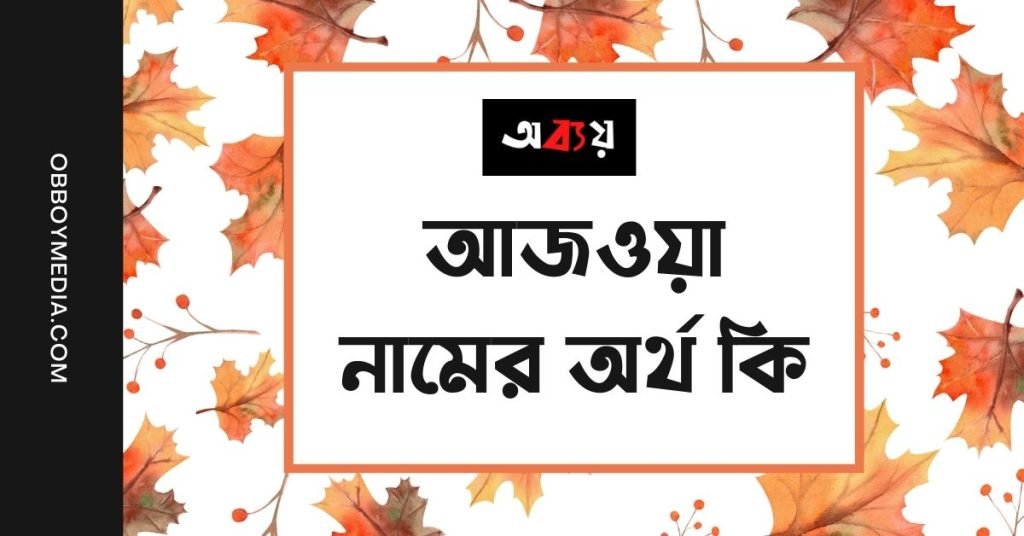 আজওয়া নামের অর্থ কি | নামটির সম্পর্কে এই কথাটি জানা জরুরী আজওয়া নামের অর্থ কি | নামটির সম্পর্কে এই কথাটি জানা জরুরী