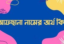 আফছানা নামের অর্থ কি | নামটির সম্পর্কে এই কথাটি জানা জরুরী