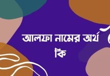 আলফা নামের অর্থ কি | নামটির সম্পর্কে এই কথাটি জানা জরুরী