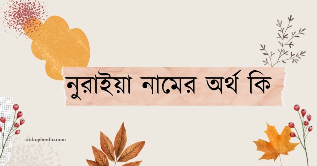 নুরাইয়া নামের অর্থ কি (নামটি যে কারনে রাখবেন) নুরাইয়া নামের অর্থ কি (নামটি যে কারনে রাখবেন)