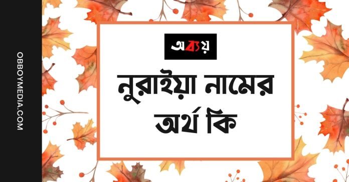 নুরাইয়া নামের অর্থ কি - ইসলামিক ও আরবি অর্থ জানুন