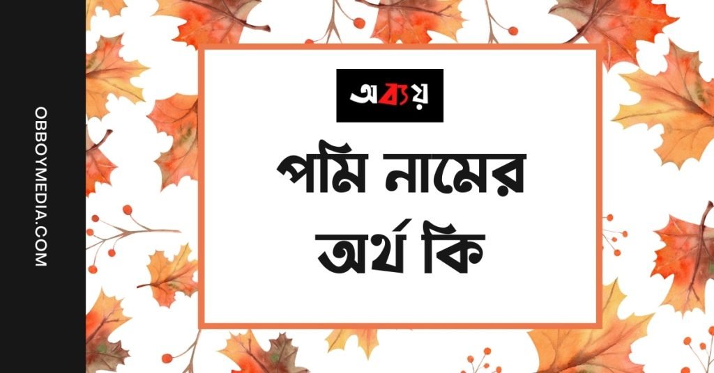 পমি নামের অর্থ কি (নামটি যে কারনে রাখবেন) পমি নামের অর্থ কি (নামটি যে কারনে রাখবেন)
