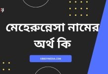 মেহেরুন্নেসা নামের অর্থ কি | নামটির সম্পর্কে এই কথাটি জানা জরুরী