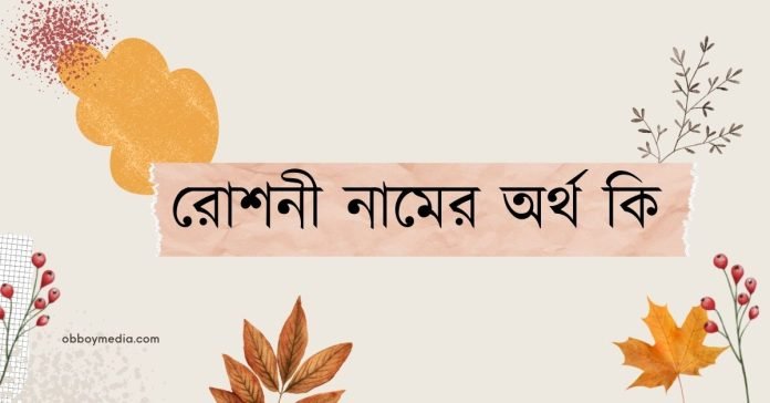 রোশনী নামের অর্থ কি- ইসলামিক ও আরবি অর্থ জানুন