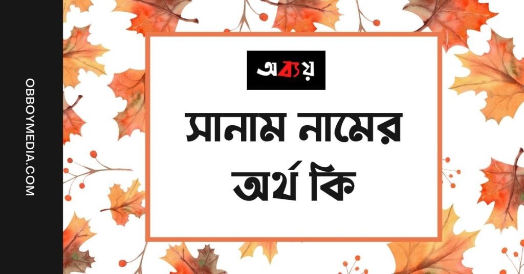 সানাম নামের অর্থ কি | এটি কি ইসলামিক কোনো নাম? সানাম নামের অর্থ কি