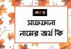 সাফফানা নামের অর্থ কি | এটি কি ইসলামিক কোনো নাম?