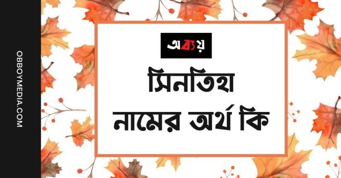 সিনতিহা নামের অর্থ কি - ইসলামিক ও আরবি অর্থ জানুন (1)
