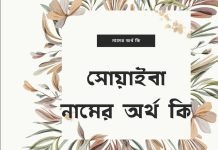 সোয়াইবা নামের অর্থ কি | এটি কি ইসলামিক কোনো নাম?