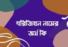 হুরিজিহান নামের অর্থ কি | নামটির সম্পর্কে এই কথাটি জানা জরুরী