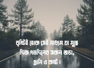 বৃষ্টি নিয়ে উক্তি | বৃষ্টি নিয়ে কবিদের রোমান্টিক উক্তি