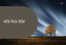 ক্ষতি নিয়ে উক্তি