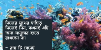 দায়িত্ব নিয়ে উক্তি - দায়িত্ব নিয়ে ইসলামিক ও অন্যান্য উক্তি