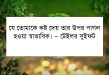 পাগলামি নিয়ে উক্তি