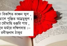 ফুল নিয়ে উক্তি – ফুল নিয়ে ভালোবাসার কিছু বিশেষ উক্তি ফুল নিয়ে উক্তি - ফুল নিয়ে ভালোবাসার কিছু বিশেষ উক্তি