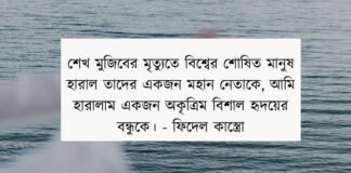 বঙ্গবন্ধুকে নিয়ে উক্তি - বঙ্গবন্ধুকে নিয়ে বিখ্যাত উক্তি