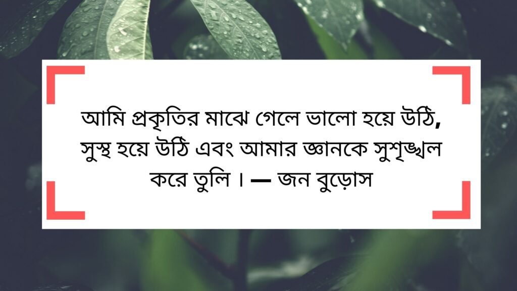 সবুজ প্রকৃতি নিয়ে উক্তি - নির্বাচিত সেরা কিছু প্রকৃতি স্ট্যাটাস ক্যাপশন সবুজ প্রকৃতি নিয়ে উক্তি - নির্বাচিত সেরা কিছু প্রকৃতি স্ট্যাটাস ক্যাপশন