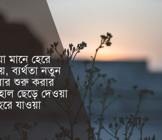 হেরে যাওয়া নিয়ে উক্তি – হেরে যাওয়া নিয়ে কবিতা হেরে যাওয়া নিয়ে উক্তি - হেরে যাওয়া নিয়ে কবিতা